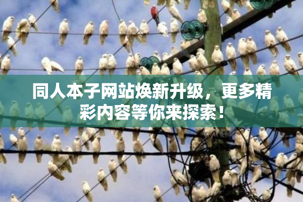 同人本子网站焕新升级，更多精彩内容等你来探索！