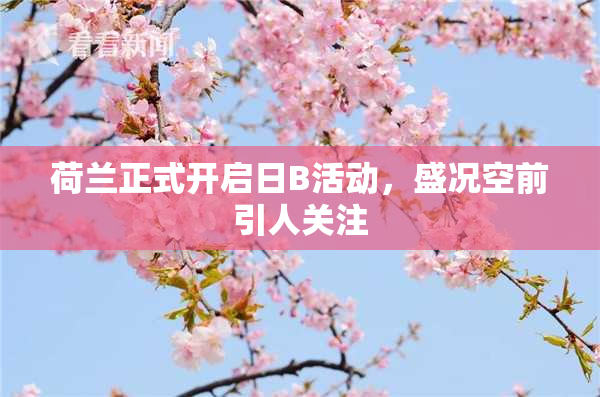 荷兰正式开启日B活动，盛况空前引人关注