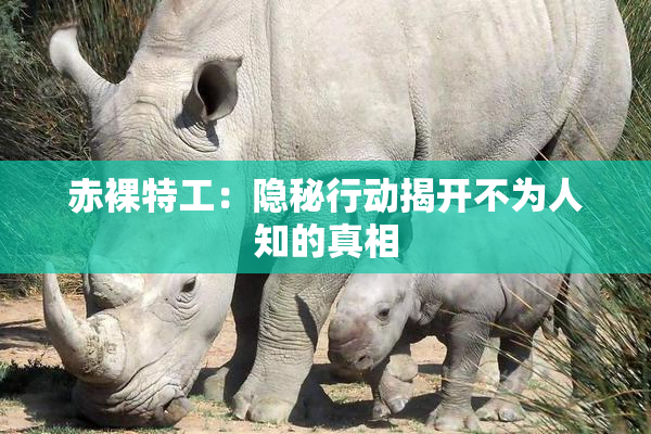 赤裸特工：隐秘行动揭开不为人知的真相