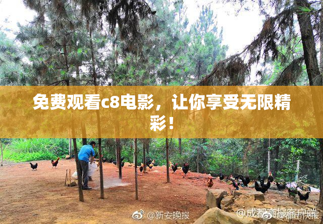 免费观看c8电影，让你享受无限精彩！