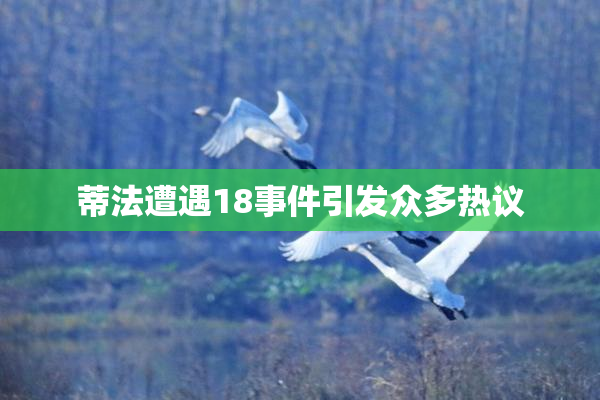 蒂法遭遇18事件引发众多热议