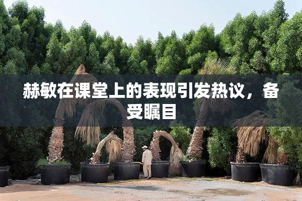 赫敏在课堂上的表现引发热议，备受瞩目