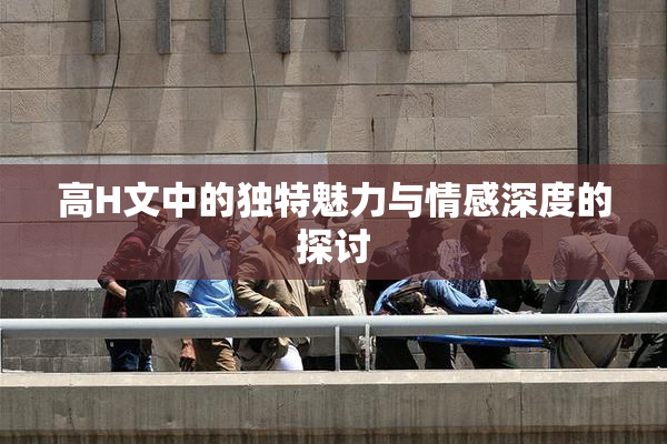 高H文中的独特魅力与情感深度的探讨