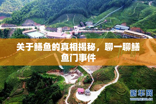 关于鳝鱼的真相揭秘，聊一聊鳝鱼门事件