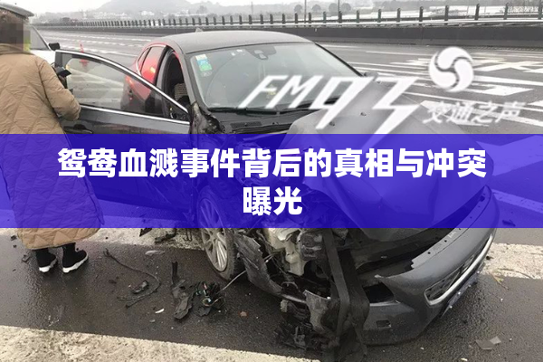 鸳鸯血溅事件背后的真相与冲突曝光