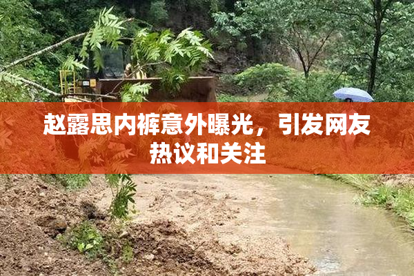赵露思内裤意外曝光，引发网友热议和关注