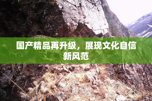 国产精品再升级，展现文化自信新风范
