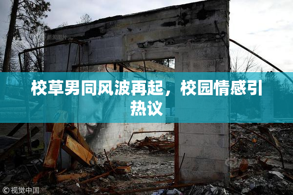 校草男同风波再起，校园情感引热议