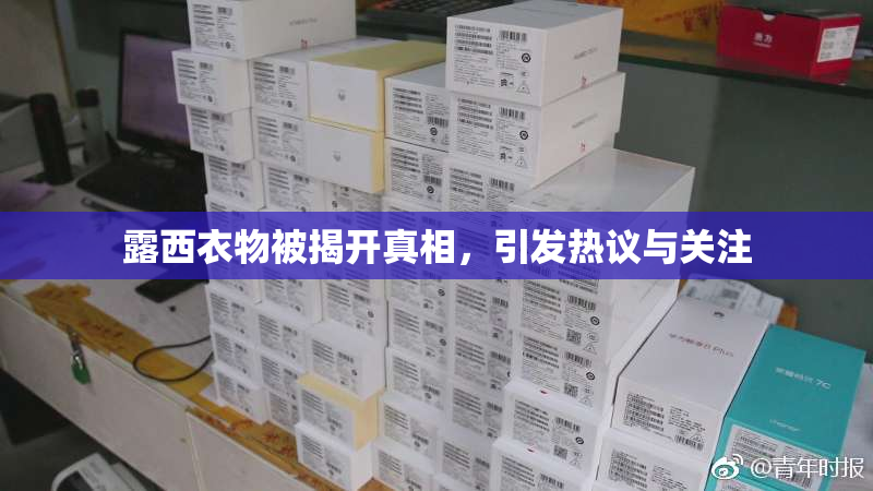 露西衣物被揭开真相，引发热议与关注