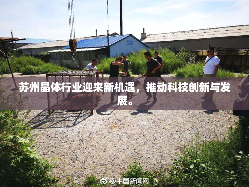 苏州晶体行业迎来新机遇，推动科技创新与发展。