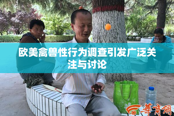 欧美禽兽性行为调查引发广泛关注与讨论