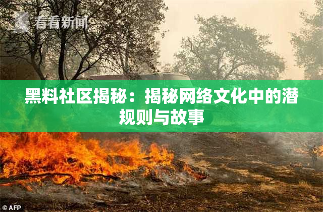黑料社区揭秘：揭秘网络文化中的潜规则与故事