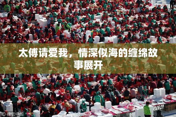 太傅请爱我，情深似海的缠绵故事展开
