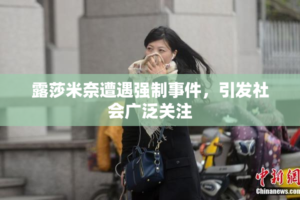 露莎米奈遭遇强制事件，引发社会广泛关注