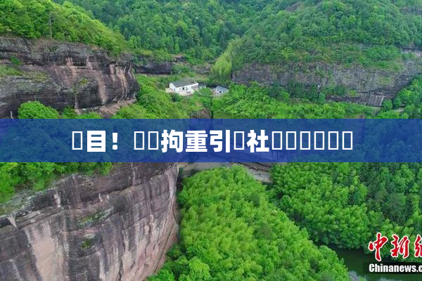 矚目！緊縛拘重引發社會熱議與討論