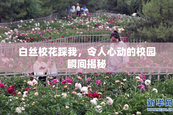 白丝校花踩我，令人心动的校园瞬间揭秘