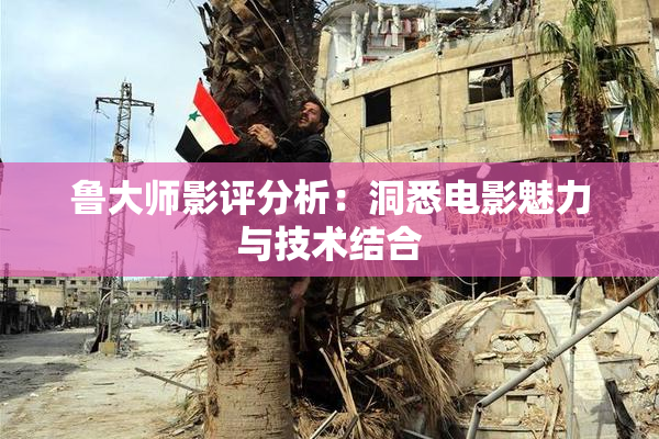 鲁大师影评分析：洞悉电影魅力与技术结合