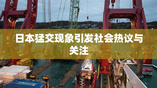 日本猛交现象引发社会热议与关注