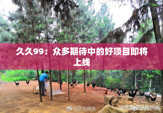 久久99：众多期待中的好项目即将上线
