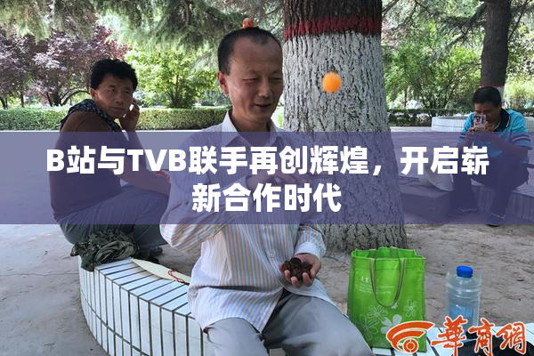B站与TVB联手再创辉煌，开启崭新合作时代