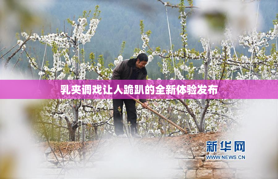 乳夹调戏让人跪趴的全新体验发布