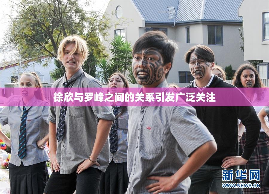 徐欣与罗峰之间的关系引发广泛关注