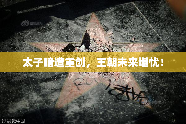 太子暗遭重创，王朝未来堪忧！