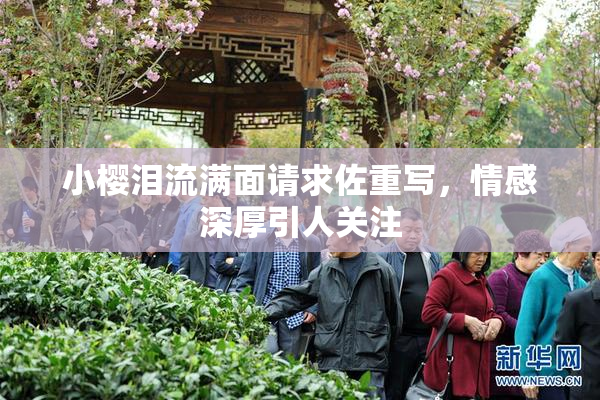 小樱泪流满面请求佐重写，情感深厚引人关注