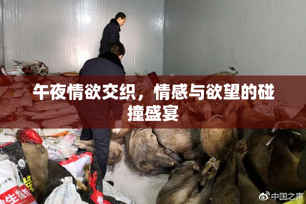 午夜情欲交织，情感与欲望的碰撞盛宴
