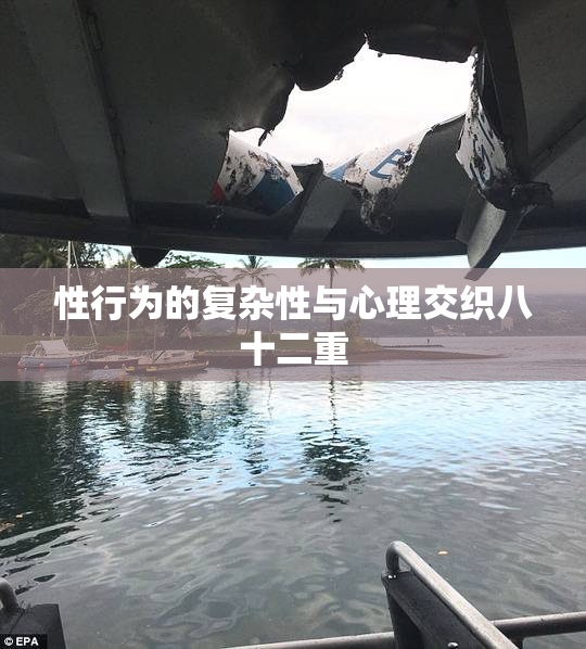 性行为的复杂性与心理交织八十二重