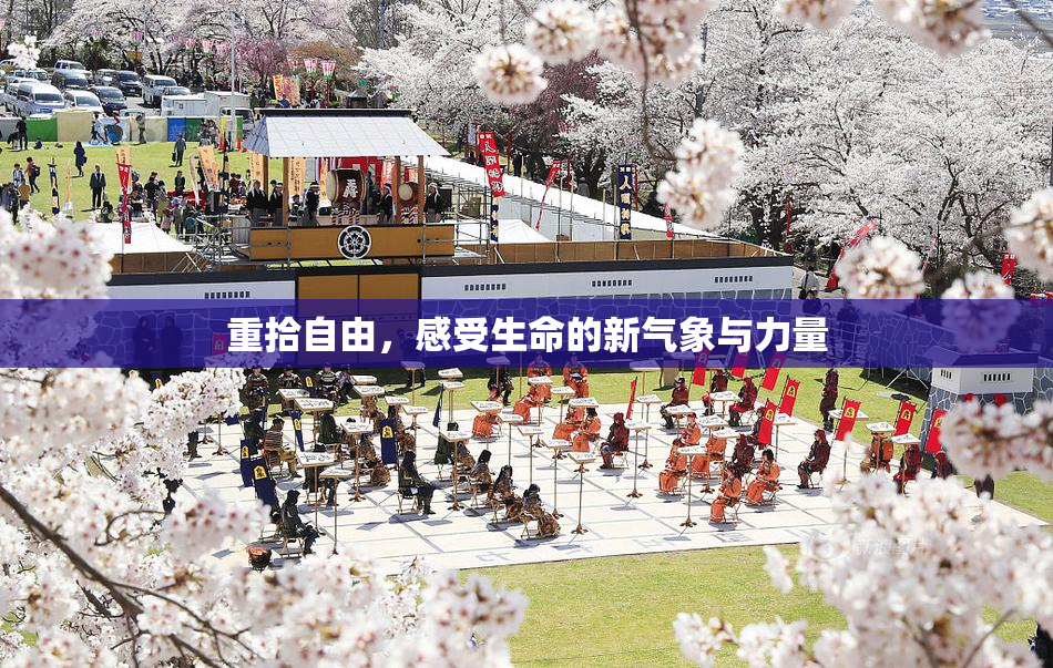 重拾自由，感受生命的新气象与力量