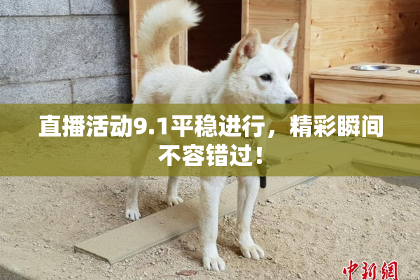 直播活动9.1平稳进行，精彩瞬间不容错过！