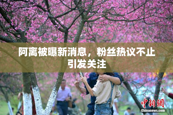 阿离被曝新消息，粉丝热议不止引发关注