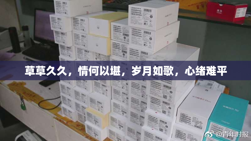 草草久久，情何以堪，岁月如歌，心绪难平