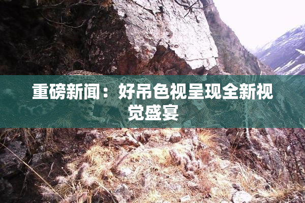 重磅新闻：好吊色视呈现全新视觉盛宴