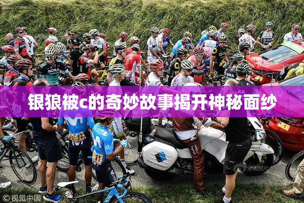 银狼被c的奇妙故事揭开神秘面纱