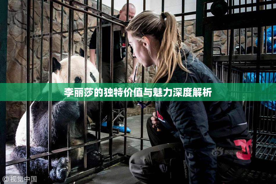 李丽莎的独特价值与魅力深度解析