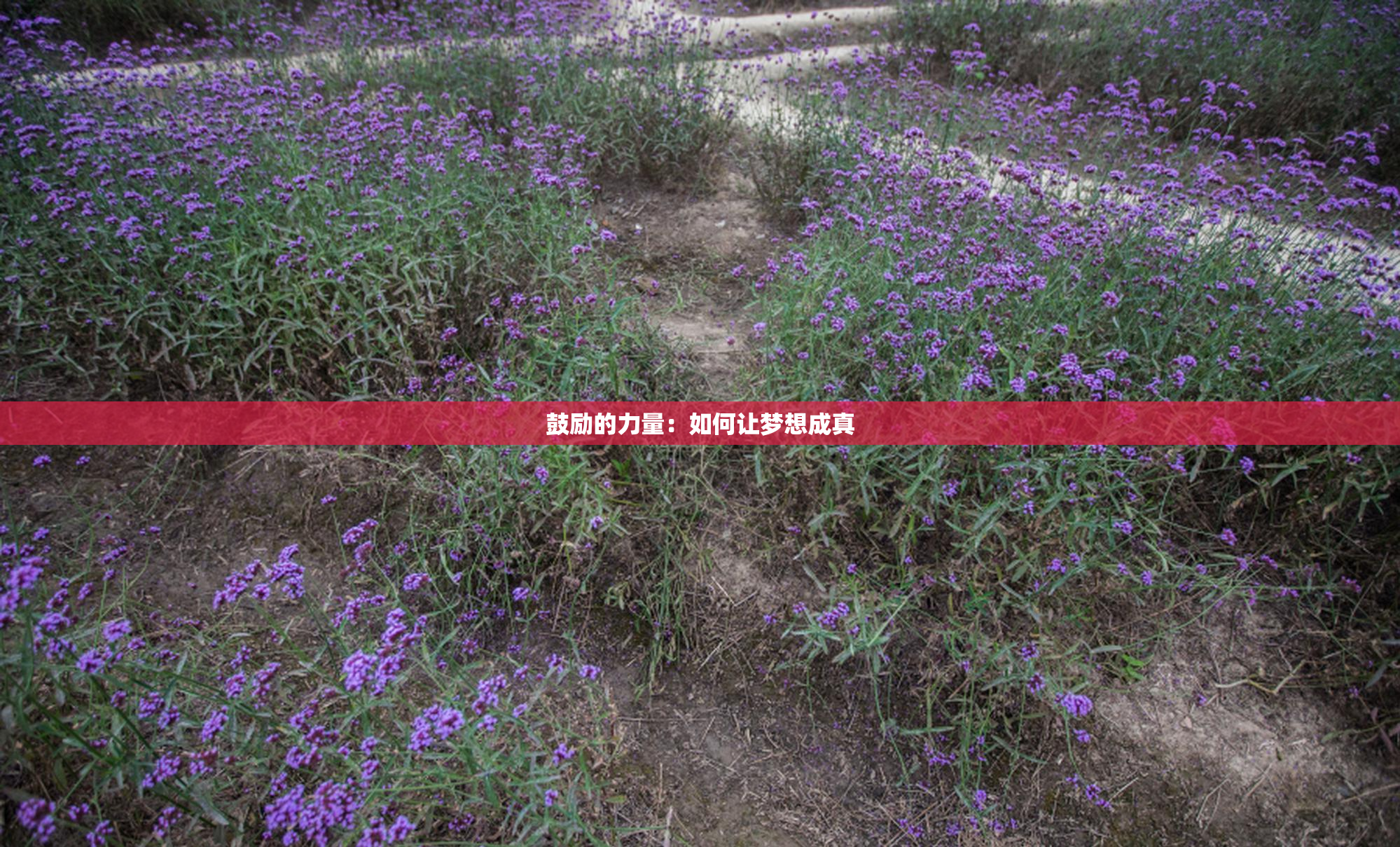 鼓励的力量：如何让梦想成真