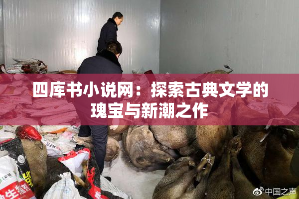 四库书小说网：探索古典文学的瑰宝与新潮之作