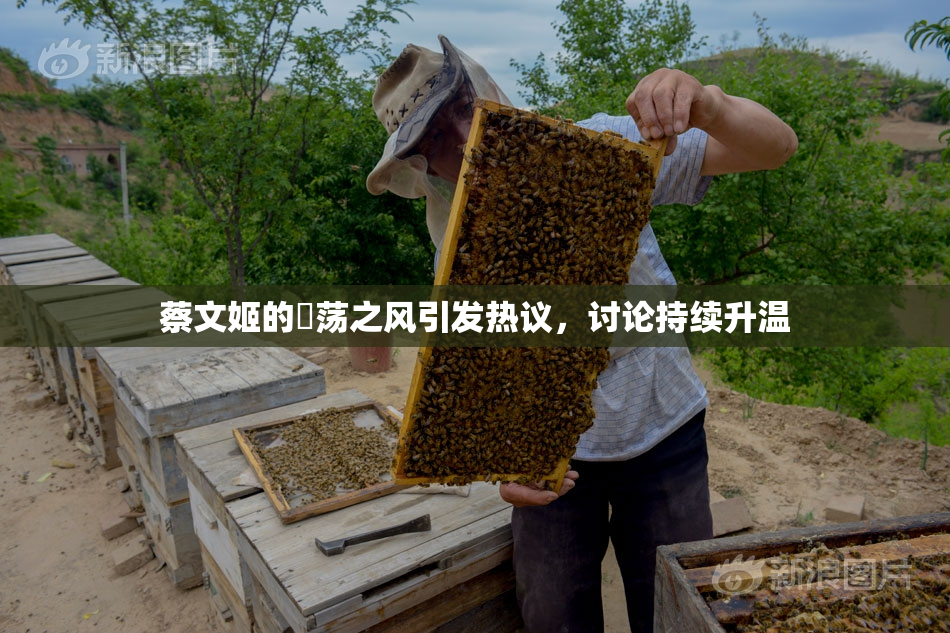 蔡文姬的婬荡之风引发热议，讨论持续升温