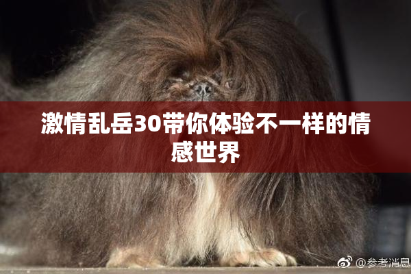 激情乱岳30带你体验不一样的情感世界