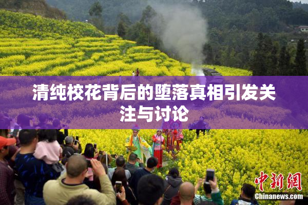 清纯校花背后的堕落真相引发关注与讨论