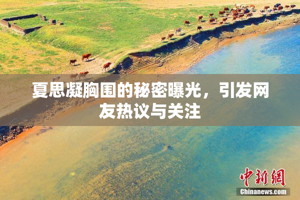 夏思凝胸围的秘密曝光，引发网友热议与关注