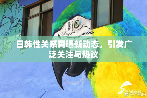 日韩性关系再曝新动态，引发广泛关注与热议