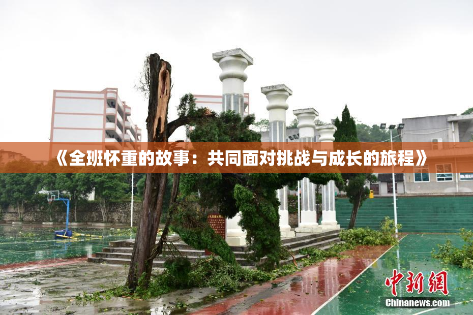 《全班怀重的故事：共同面对挑战与成长的旅程》