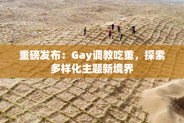 重磅发布：Gay调教吃重，探索多样化主题新境界