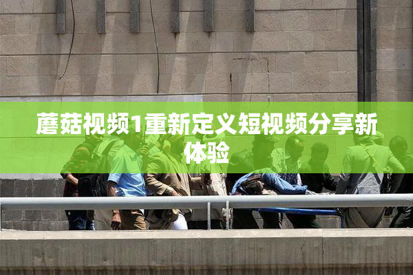 蘑菇视频1重新定义短视频分享新体验