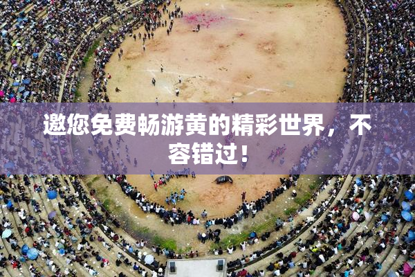 邀您免费畅游黄的精彩世界，不容错过！