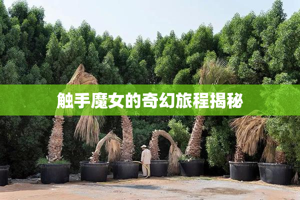 触手魔女的奇幻旅程揭秘