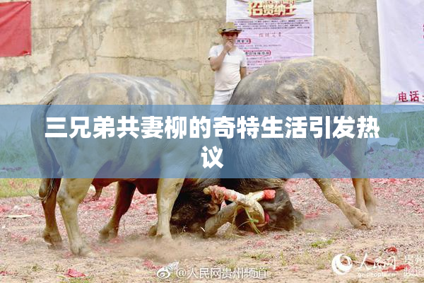 三兄弟共妻柳的奇特生活引发热议